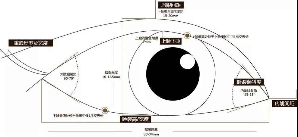 北京郭建玲医生科普双眼皮手术知识