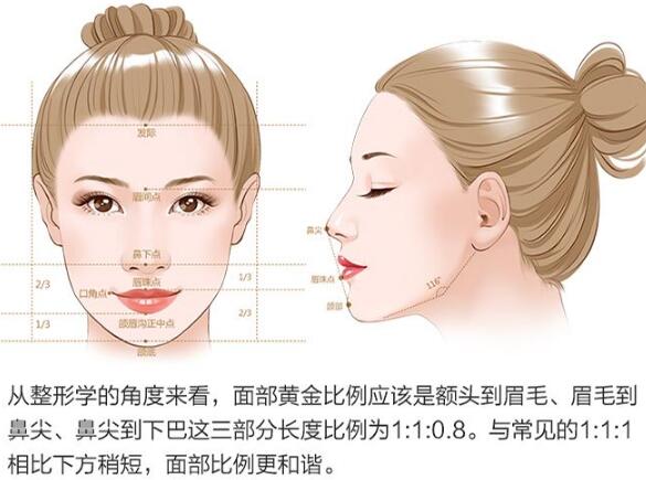 整瓜子脸需要多少钱