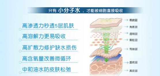 玻尿酸动漫h6.jpg