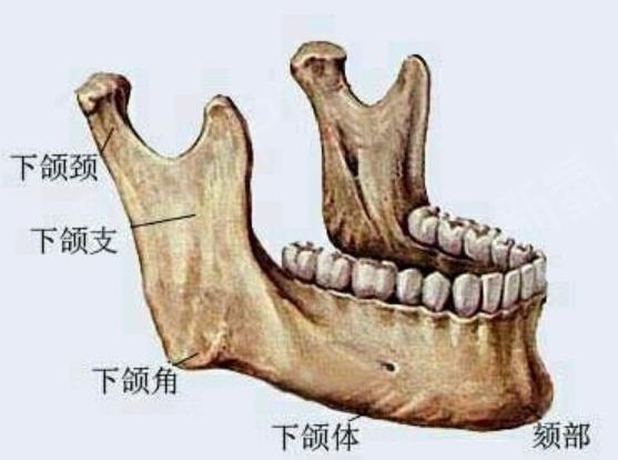 下颌角整形案例曝光，前后变化令人震惊，有图有真相！