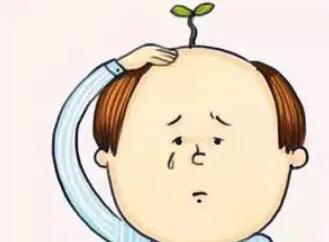 植发动漫.jpg 植发动漫.jpg