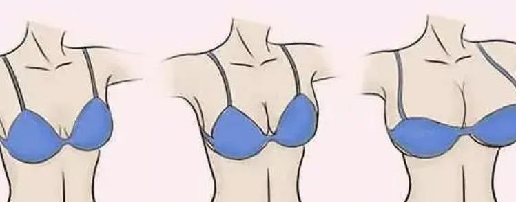 lxdm03.jpg lxdm03.jpg