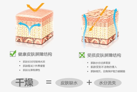 皮肤屏障修复之道：滋润、保护与促进自然修复