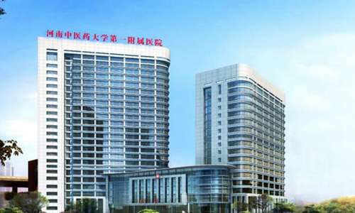 河南中医药大学第一附属医院.jpg