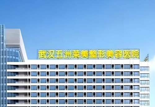 武汉五洲美莱.jpg