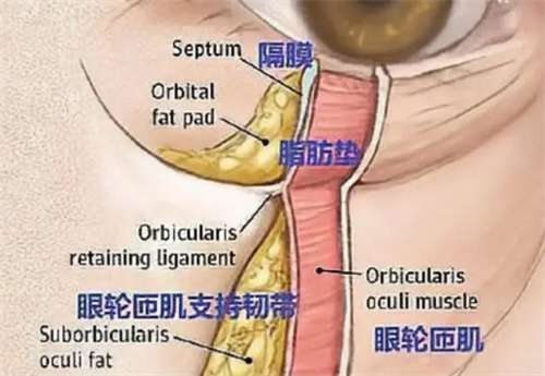 上海煦色医疗美容医生怎么样？人气医生在线一览