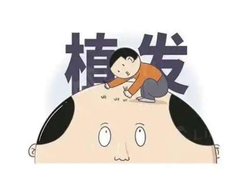 无痕植发和微针植发区别是什么？注意事项有哪些？