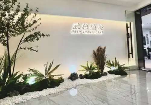 武总植发.jpg