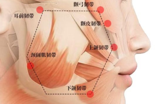 韧带提升效果能维持多久?医生不会主动说的维持期真相
