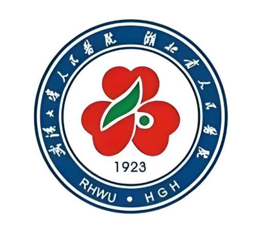 武汉大学人民医院整形外科怎么样？专家团队硬核揭秘啦