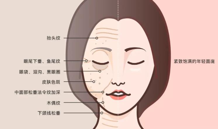 面部提升动漫6.jpg 面部提升动漫6.jpg