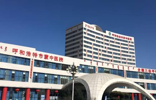 呼和浩特蒙医中医医院隆鼻价格是多少?了解详细的费用标准一览
