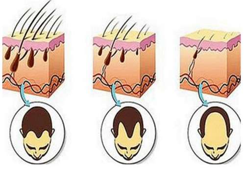 2022-02-17_182828.jpg 2022-02-17_182828.jpg