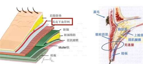 比华利整形做鼻子用的什么？医院简介