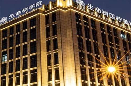 上海生命树.jpg