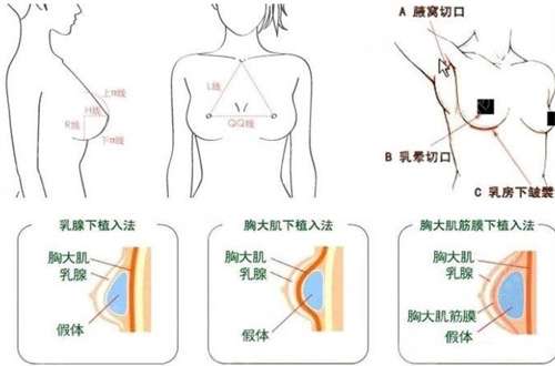 微信截图_20240923192926.jpg