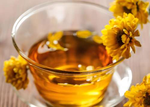 菊花茶.jpg