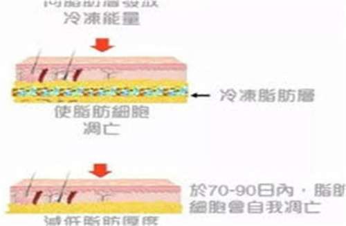 荆州中心医院整形科哪个主任好？医生详细信息介绍