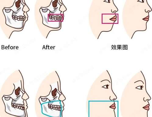 微信截图_20250108190521.jpg