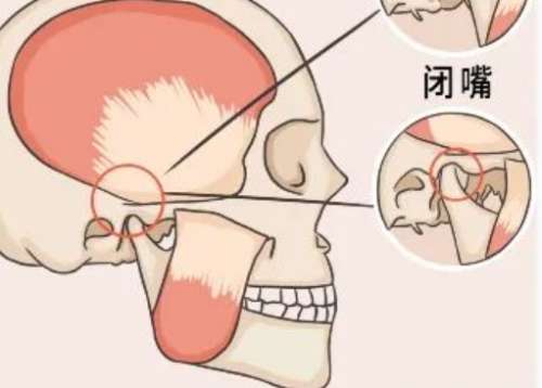 微信截图_20250108190505.jpg