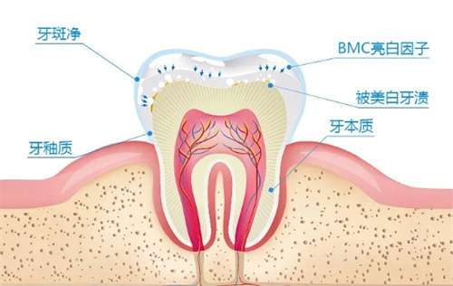 大牙疼还有点松动怎么回事?大牙疼需要拔掉吗?