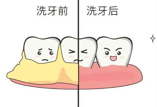 微信截图_20250126204131.jpg