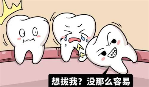 微信截图_20240222220248.jpg
