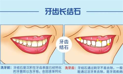 微信截图_20250126204155.jpg