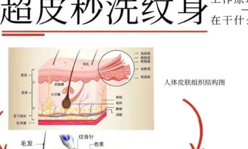 微信截图_20250211150904.jpg