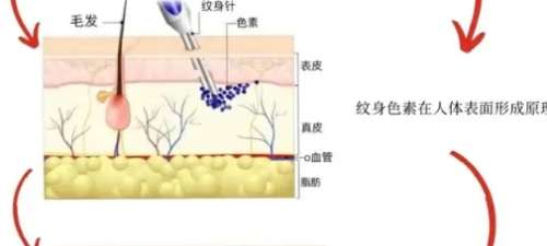 微信截图_20250211150922.jpg
