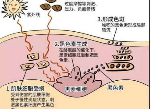 宁波第一医院有激光祛斑吗?医院实力曝光,基本介绍