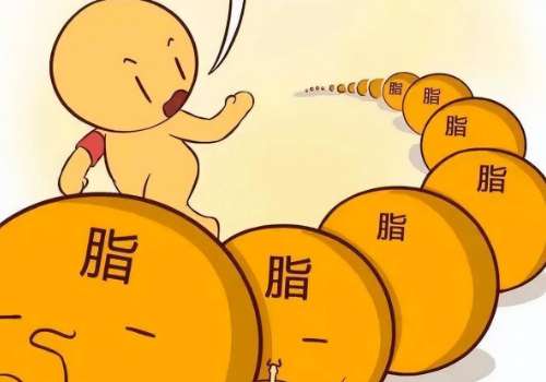 冷冻溶脂瘦腹部好吗?会反弹吗?
