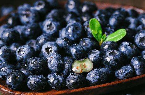 蓝莓.jpg