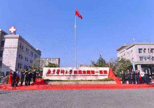 广东医科大学附属东莞第一医院.jpg