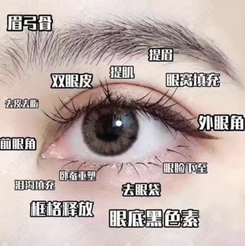 眼部美容项目有哪些?解锁迷人双眸的 “变美密码”