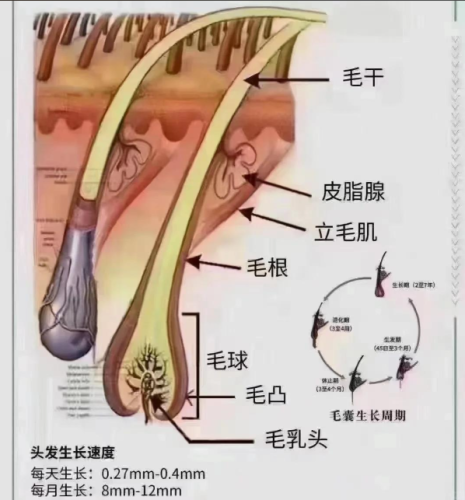 wechat_2025-07-09_153550_411.png