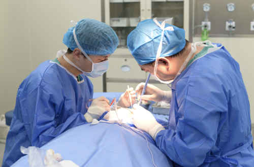 截屏2025-07-20 22.52.54.png