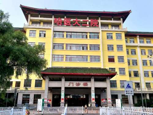 哈医大二院整形科哪个大夫好?刘国锋/陈剑/肖志波技术在线