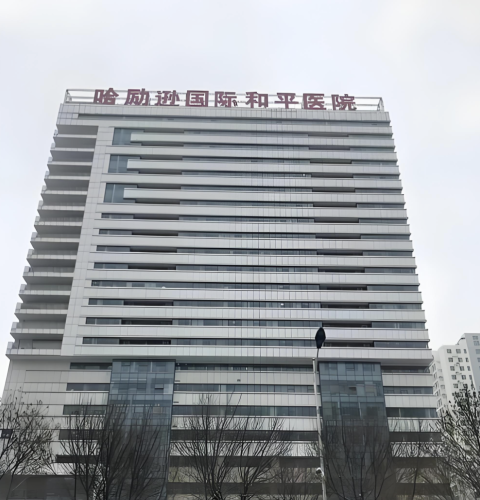 哈励逊国际和平医院做鼻子多少钱?下面我们将深入探讨