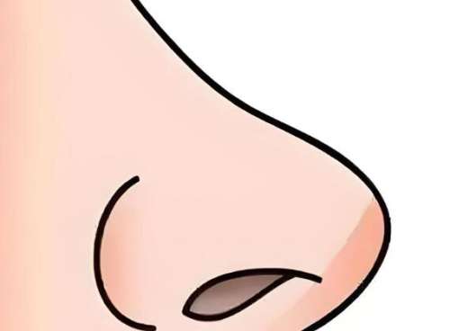 歪鼻子怎么矫正?手术方式+价格+恢复期避坑全攻略,妈生鼻不是梦!
