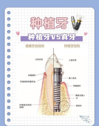 截屏2025-11-26 11.24.28.png