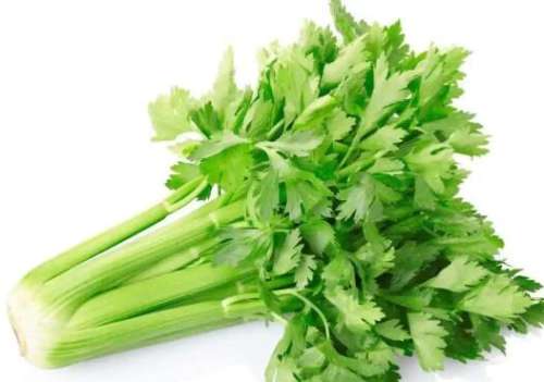 吃芹菜能减肥吗？真相揭秘！这种